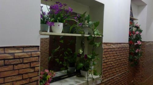 Distree Youth Hostel(jie Long)