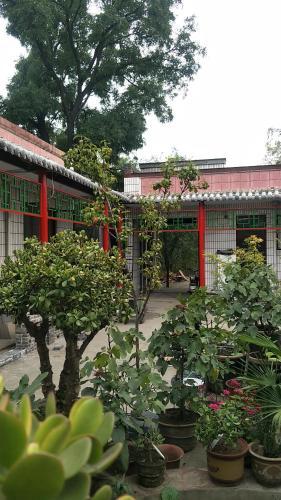Hostal Fu Lan Cultural Theme Guesthouse