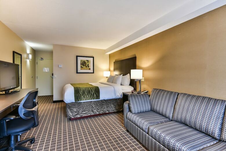 Hotel Comfort Inn Windsor