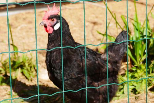 Hotel Castell De Gimenelles