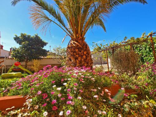 Apartments Dragan 1077