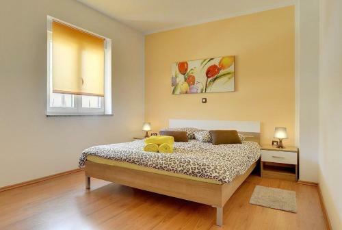 Casa Paus