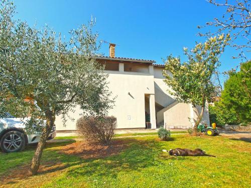 Apartments Duilija 1301