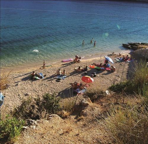 Apartment In Rab/insel Rab 16261