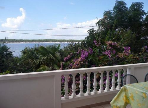 Apartment In Barbat/insel Rab 16473