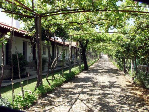 Hotel Quinta Dom Sapo