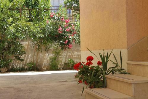 Hostal Double Room Baska Voda 6704d
