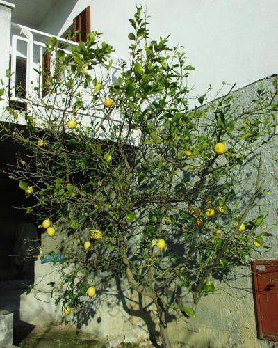 Apartamentos Studio Baska Voda 301c