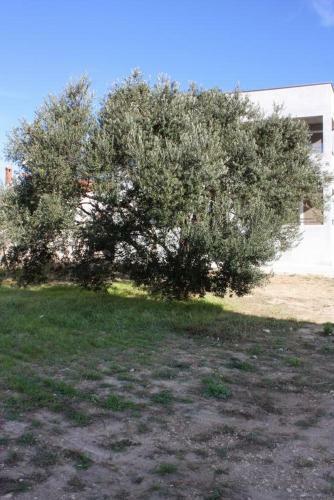 Apartment Bibinje 5916b