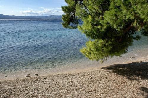 Apartments With A Parking Space Bol (brac) - 5640