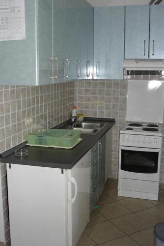 Apartment Brela 13052c