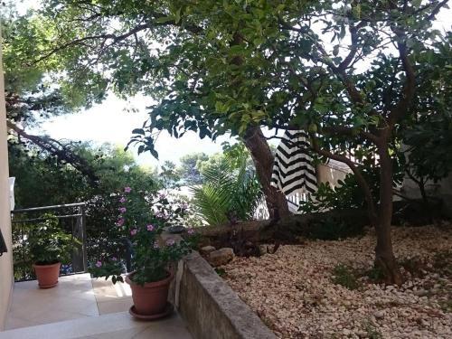 Delightful Apartment In Brela With Parking