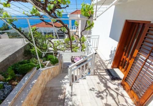 Apartments Ante M