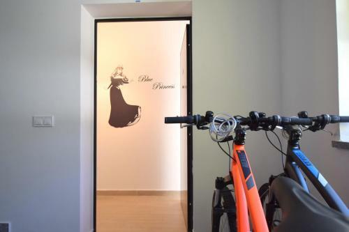 Apartment Blue Princess