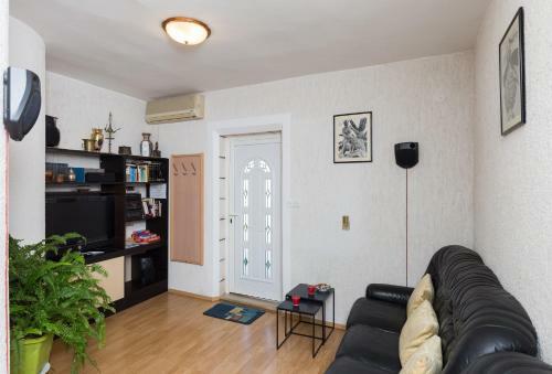 Apartment Milic