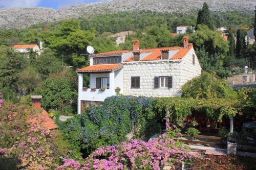 Apartments With Wifi Dubrovnik - 8581