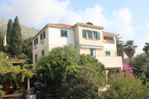 Apartments With Wifi Dubrovnik - 8581