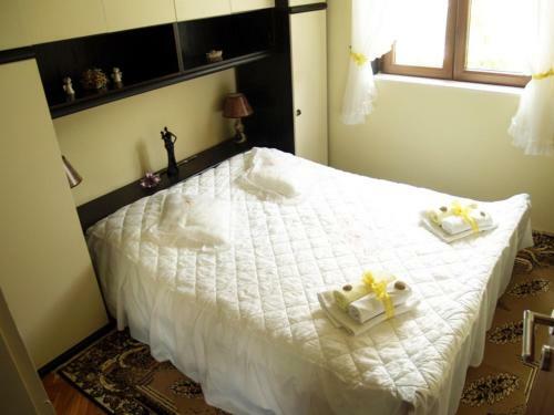 Apartment Ombla