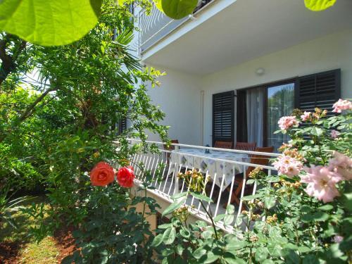 Apartments Zora 1652