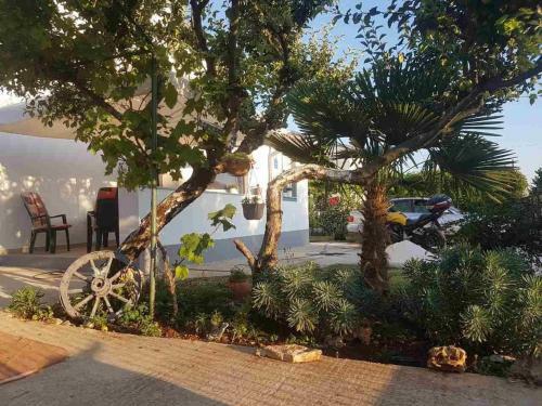 Apartment Valbandon 15225b