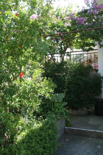 Apartments With A Parking Space Hvar - 4593
