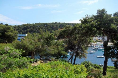 Apartments And Rooms By The Sea Hvar - 143