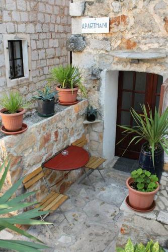 Apartments With A Parking Space Pitve (hvar) - 5247
