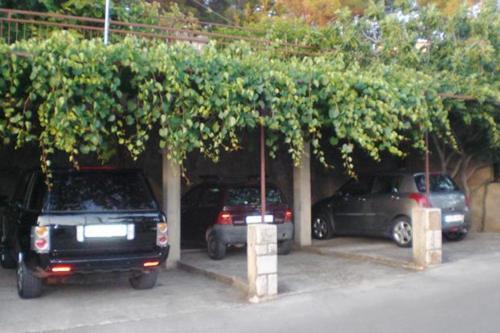 Apartamentos Studio Jelsa 2062b