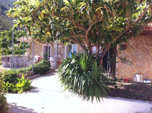 Apartamentos Studio Ivan Dolac 15483a