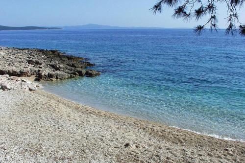 Apartments By The Sea Ivan Dolac (hvar) - 11308