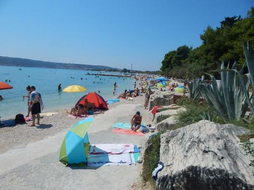 Apartments Jurica