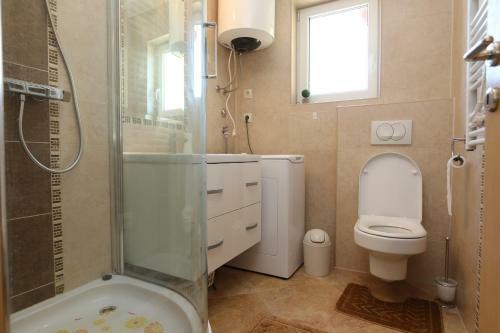 Apartment Rinkovec