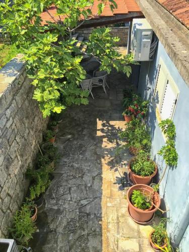 Apartment Korcula 14612a