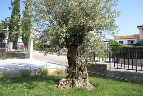 Apartment In Krk/insel Krk 12696