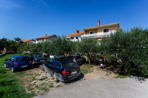 Apartment Branko