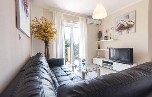 Apartment Liznjan 15151b