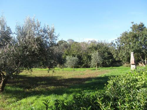 Villa Valentina