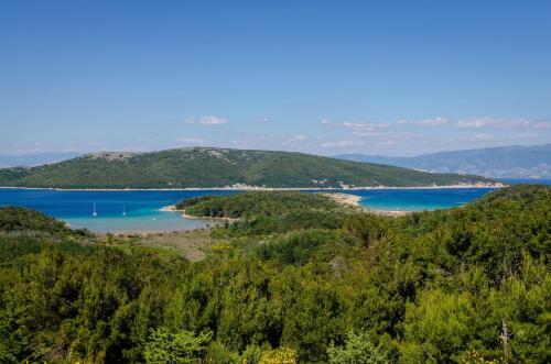 Apartment In Lopar/insel Rab 17747