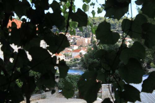 Apartment Lumbarda 9183a