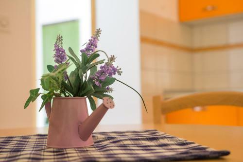 Apartamentos Prica