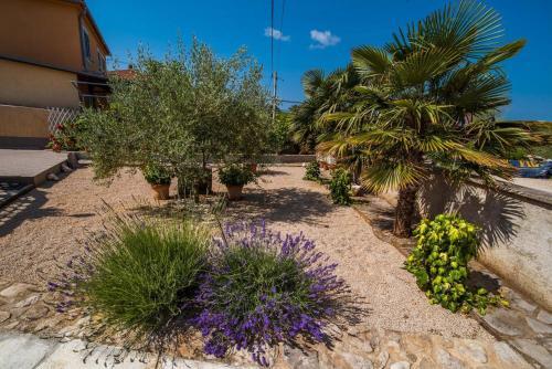 Apartment Malinska 13219a