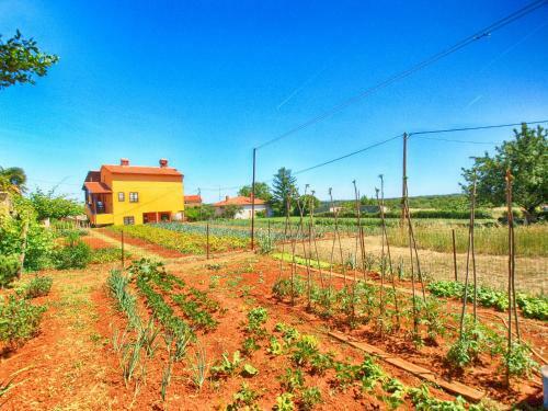 Apartment Marcana 1382