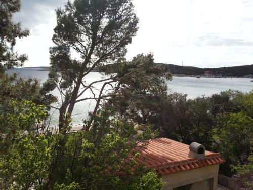 Apartments By The Sea Martinscica (Cres) - 11279
