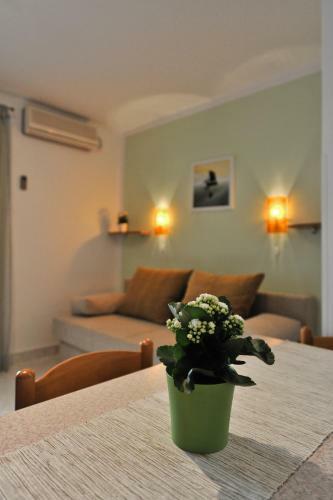 Hostal Apartments & Rooms Petra