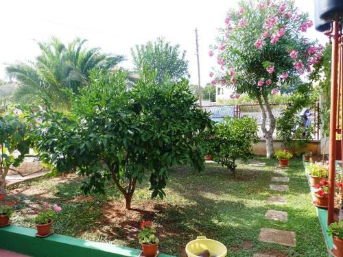 Apartment Zadar - Diklo 13242b