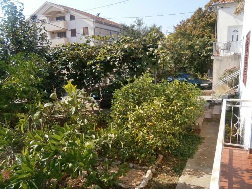 Apartmani Cope