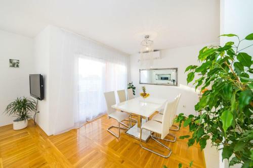 Apartment Haja