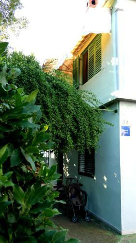 Green Hostel
