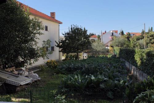 Apartment Zadar - Diklo 5804a