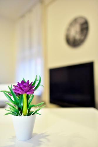 Apartment Schlosser